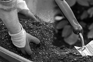 como hacer y mezclar tu propio sustrato y tierra