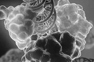 microrrizas en el sustrato funcionamiento