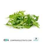 Rúcula Selvática - Semillas Hortícolas de primera calidad